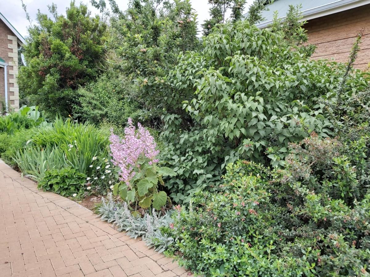 Clarens Mountain Sage Holiday House Ngoại thất bức ảnh